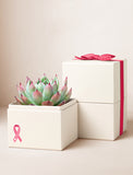 Pink Ribbon Bliss Garden
