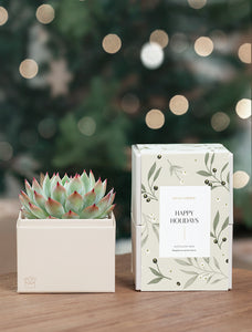 Holiday Bliss Garden