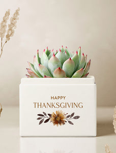 Thanksgiving Bliss Garden