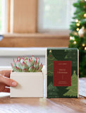 Echeveria succulent in a white square planter next to a festive green Christmas-themed gift box on a wooden table. - Image 