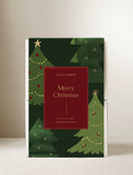 Christmas Bliss Garden succulent box with festive green tree print and a red Merry Christmas label. - Image 