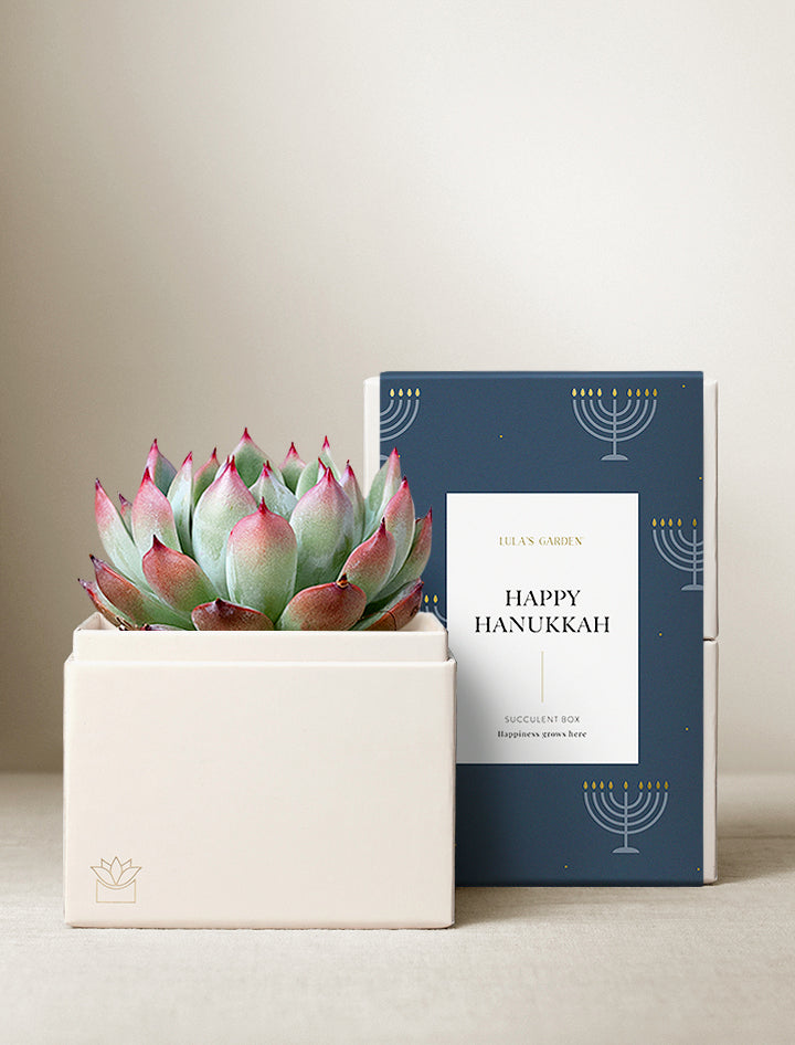 Hanukkah Bliss & Scented Candle & Matches