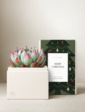Christmas Bliss & Scented Candle & Matches