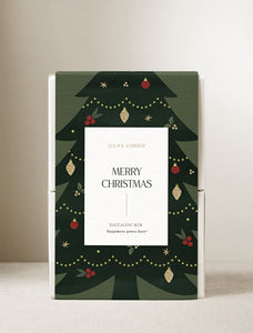 Christmas Bliss & Scented Candle & Matches