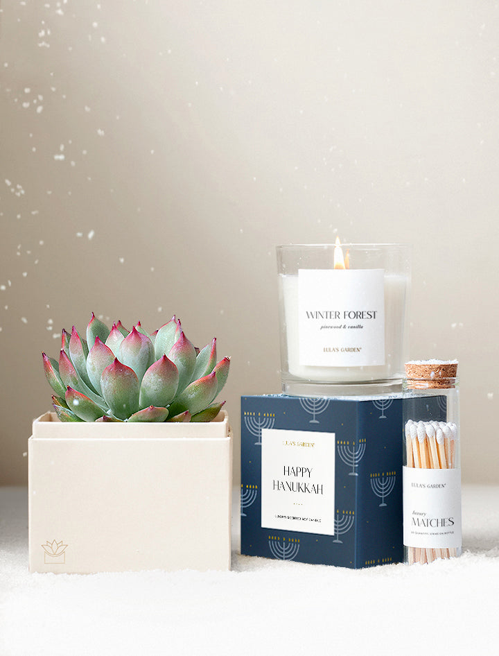 Hanukkah Bliss & Scented Candle & Matches