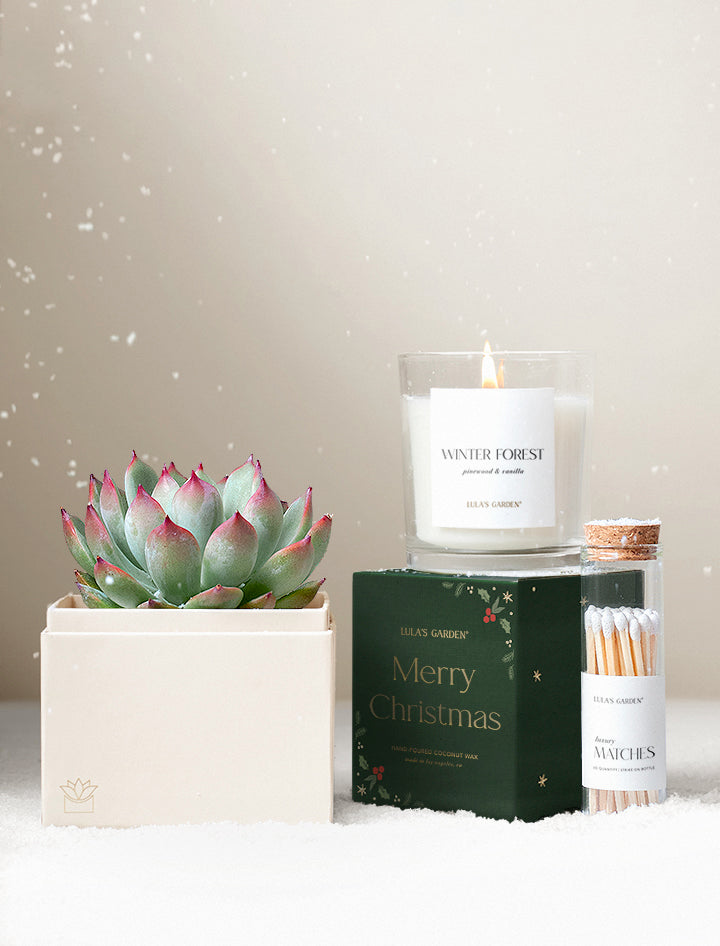 Christmas Bliss & Scented Candle & Matches