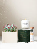 Christmas Bliss & Scented Candle & Matches