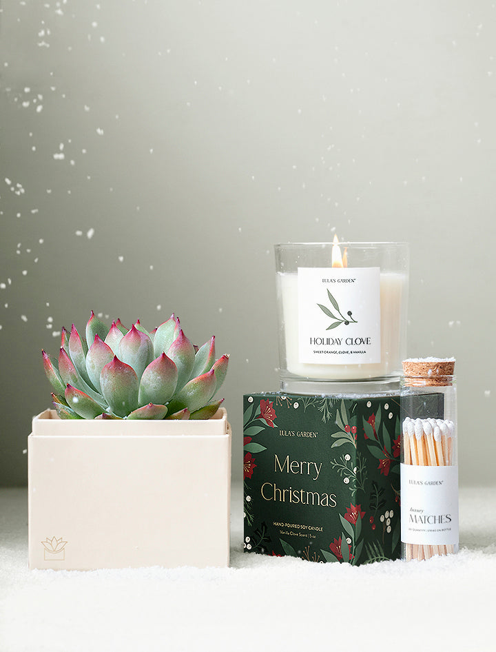 Christmas Bliss & Candle & Matches