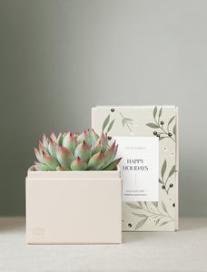 Holiday Bliss & Shower Steamer & Candle & Matches