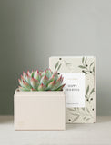 Holiday Bliss & Shower Steamer & Candle & Matches