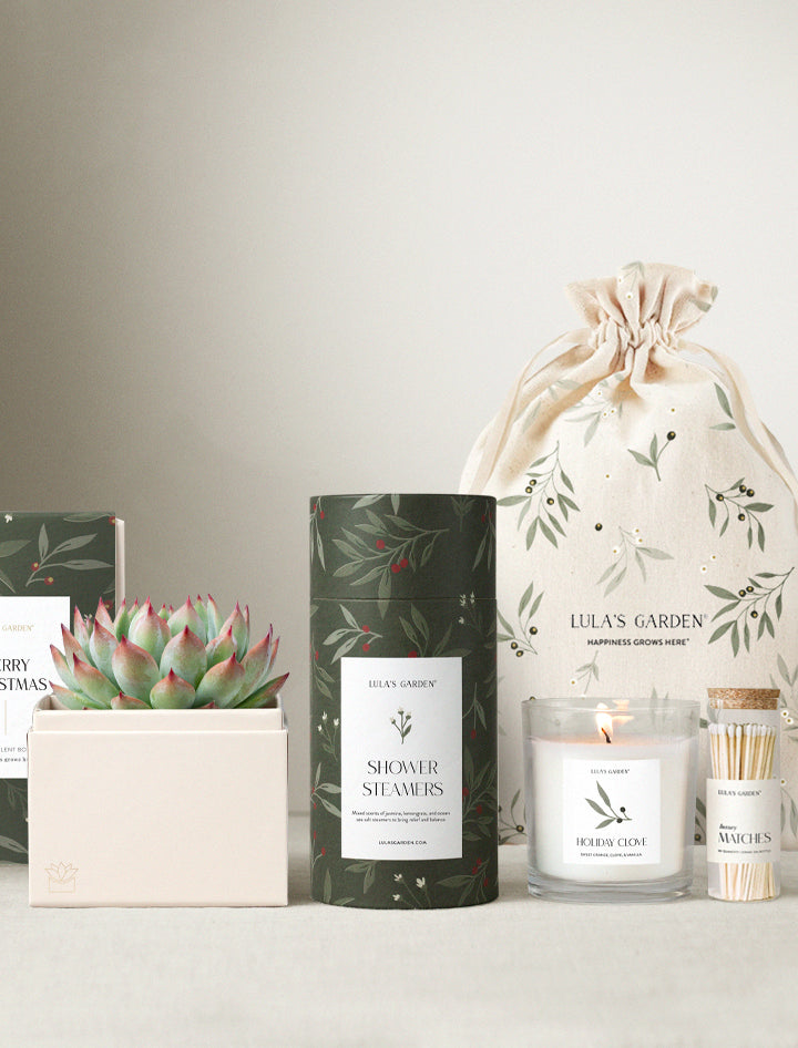Christmas Bliss & Shower Steamer & Candle & Matches