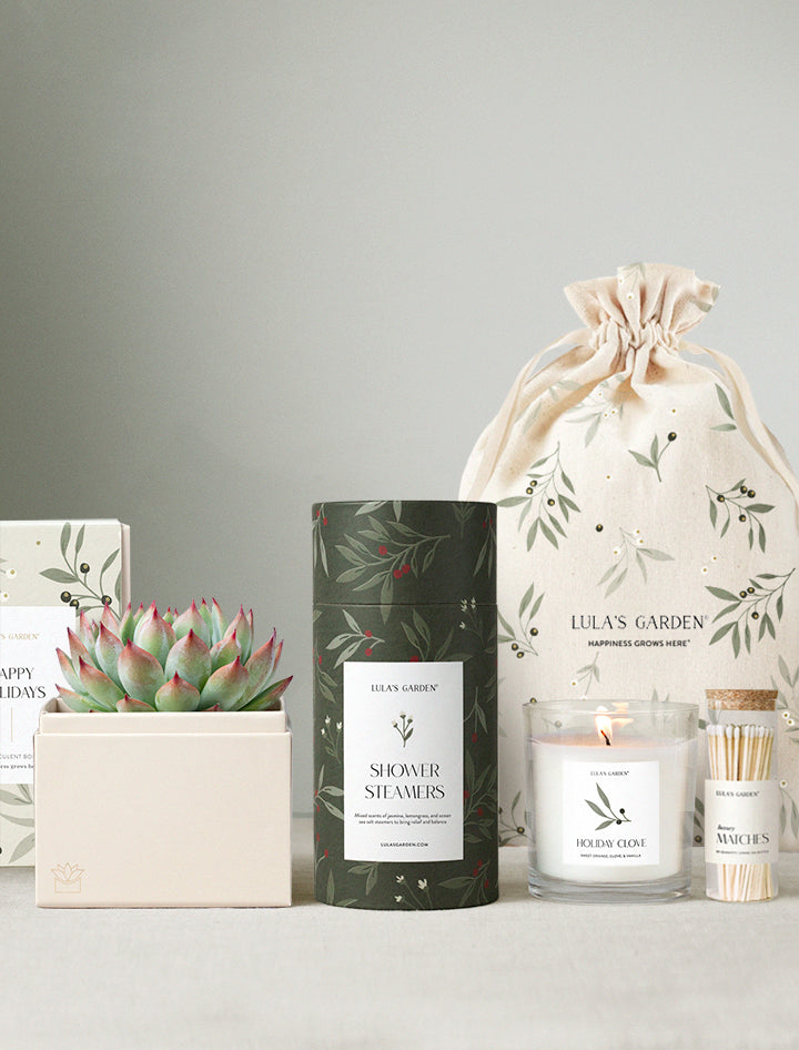 Holiday Bliss & Shower Steamer & Candle & Matches