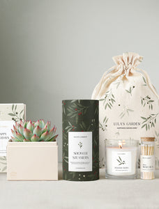 Holiday Bliss & Shower Steamer & Candle & Matches