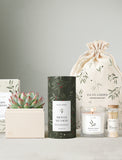 Holiday Bliss & Shower Steamer & Candle & Matches