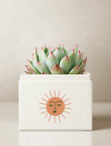 Summer Sun Bliss Garden