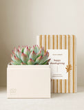 A green and red succulent in a cream-colored gift box with a gold-striped sleeve labeled Happy Thanksgiving. - Image 