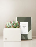 OnGift // Shea Interiors // Bliss Garden // TY1