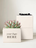 A small succulent plant in a cream-colored square planter box with the text 'your logo HERE' printed on the front, placed in front of two matching cream gift boxes stacked vertically, with the top box tied with a black ribbon. The background is a clean, neutral light gray studio setting. - Image 