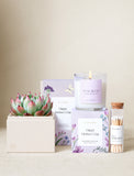 Succulents in gift box next to candle and matches. - Image 