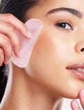 Holiday Dry Brush & Gua Sha