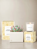 Furever Remembered Petite Gardens & Scented Candle - Image 