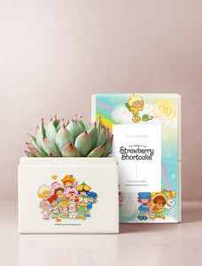 Strawberry Shortcake & Friends Garden
