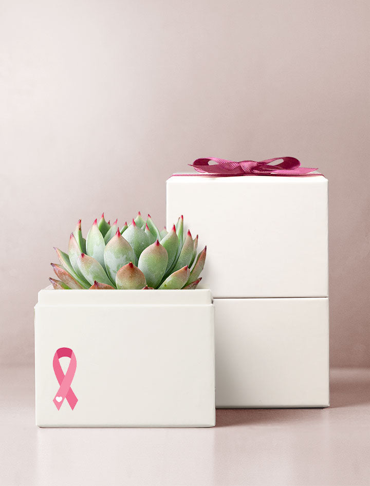 Pink Ribbon Bliss Garden