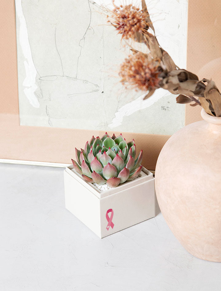 Pink Ribbon Bliss Garden