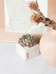 Pink Ribbon Bliss Garden
