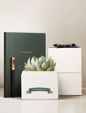 Boss's Day Bliss Garden Gift Set