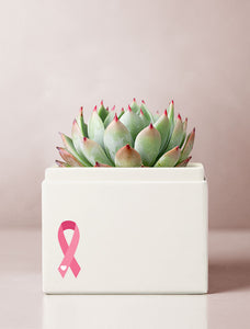 Pink Ribbon Bliss Garden
