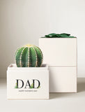 Father's Day Cacti Garden