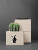 Halloween Cacti Garden