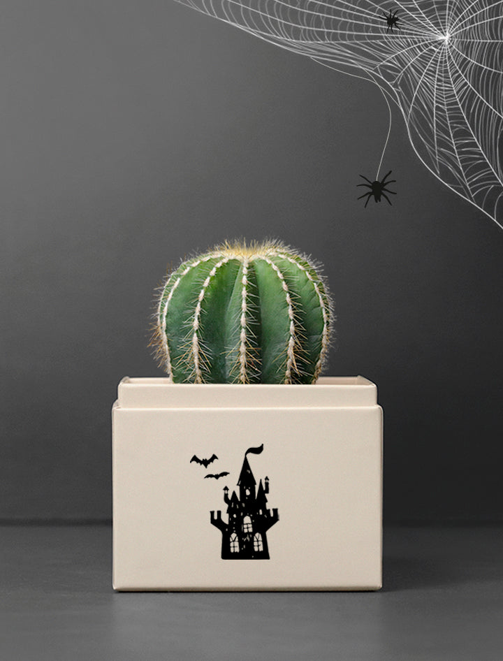 Halloween Cacti Garden