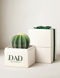 Father's Day Cacti Garden - Image 