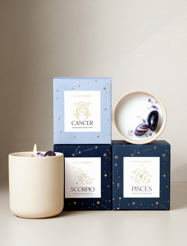 anthropologie succulent candle Zodiac Scented Candle | Succulent Gifting | Lula's Garden | Aries Gifts