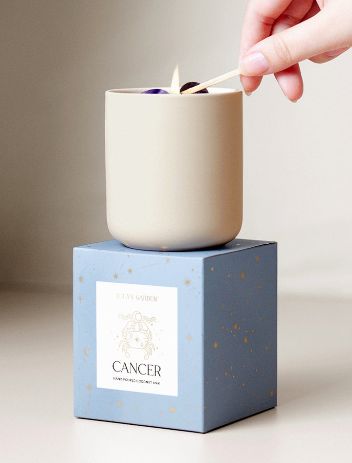 Zodiac Scented Candle | Succulent Gifting | Lula's Garden | Gemini