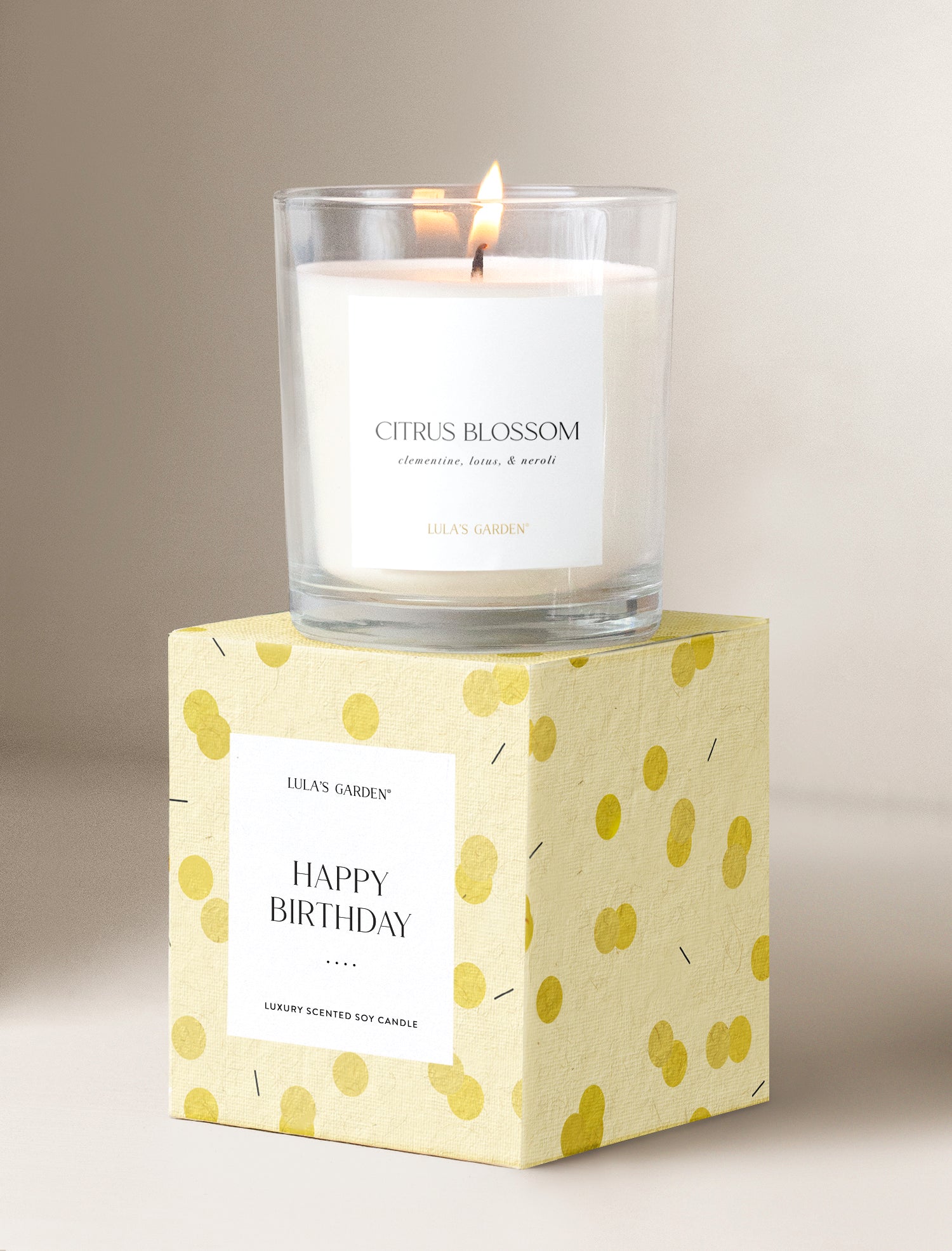 Bamboo Bliss Garden Gift Set - Happy Birthday