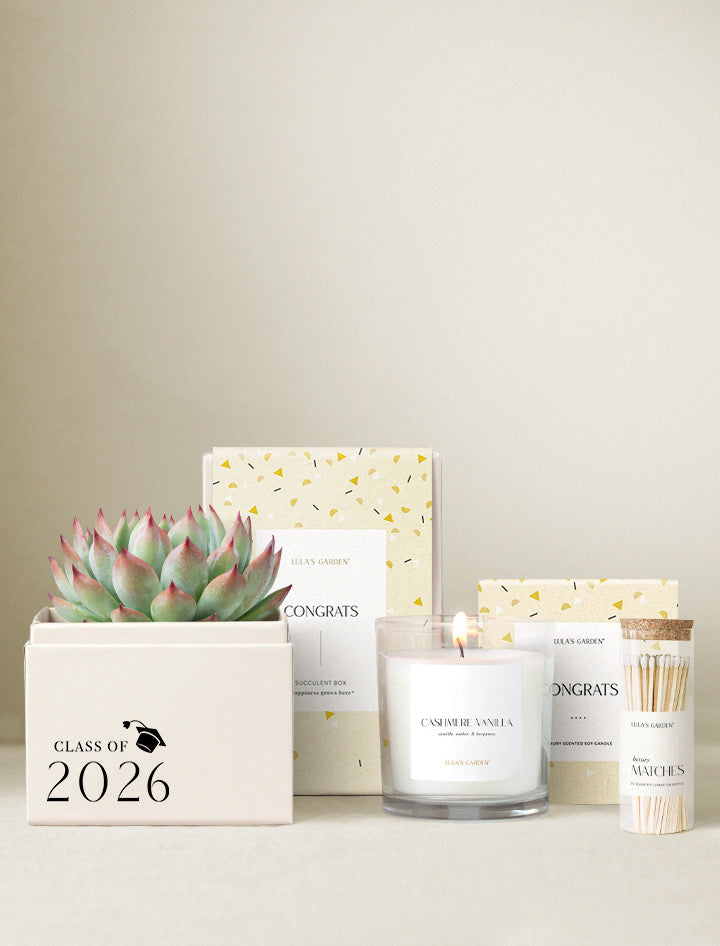 candle succulent class Graduation Bliss Garden & Candle & Matches