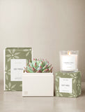 Get Well Bliss Garden Gift Set