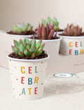 Lula's Favors 6-Pack Succulents - Celebrate - Image 