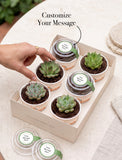 Succulents in mini cups with an occasion. - Image 