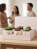 Succulents in mini cups with an occasion. - Image 