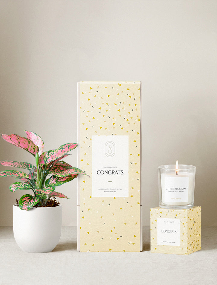Congrats Plant Gift Set