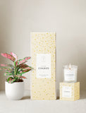 Congrats Plant Gift Set