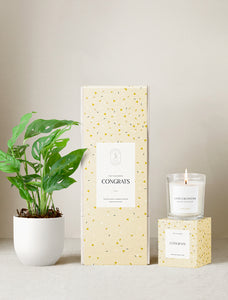 Congrats Plant Gift Set