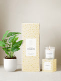 Congrats Plant Gift Set