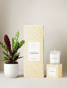 Congrats Plant Gift Set