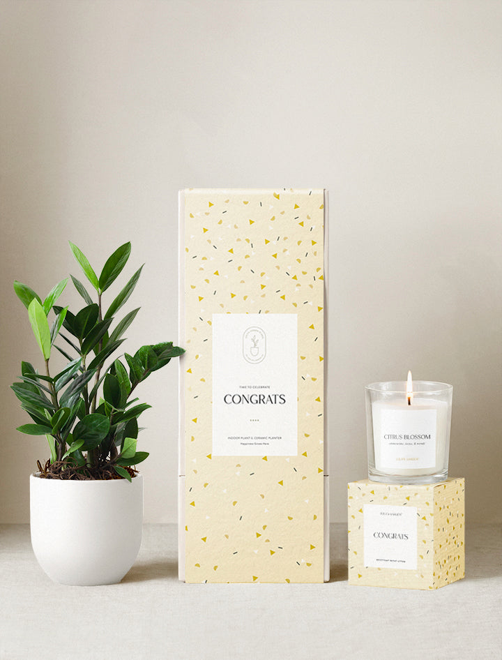 Congrats Plant Gift Set