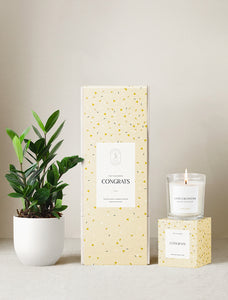 Congrats Plant Gift Set
